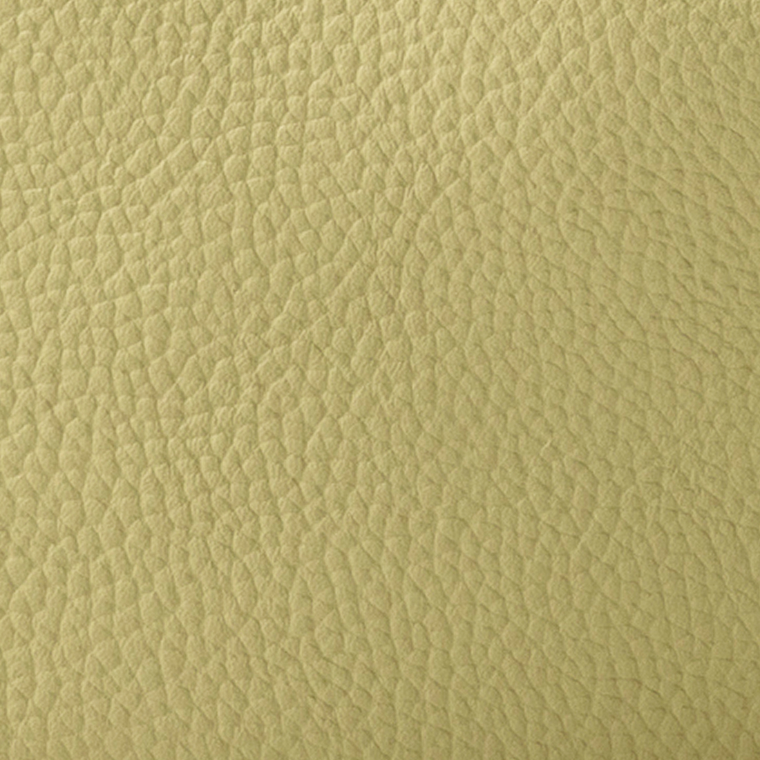 ライトピスタチオ