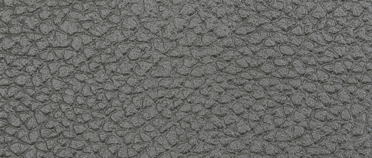 ブラックオリーブ