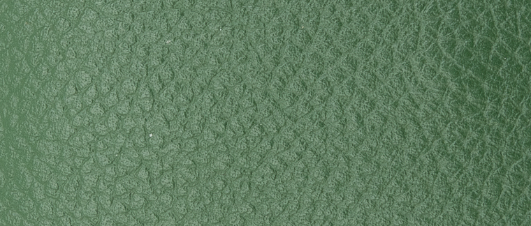 アイビーグリーン