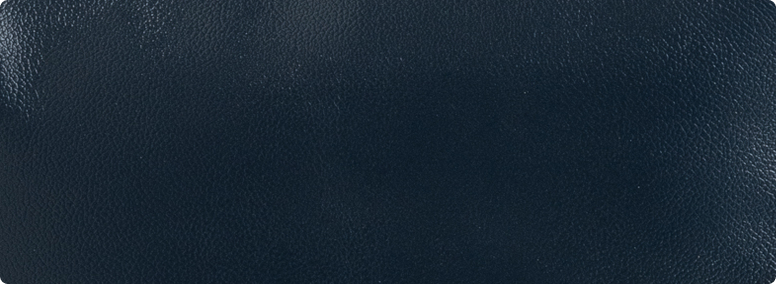 プルシアンネイビー