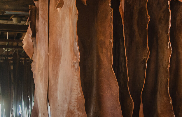 環境負荷を抑えたなめしの配合